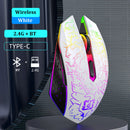 LumiGlide RGB Wireless Ergonomic Gaming Mouse – Silent Click 1600 DPI for PC, Mac & Laptops
