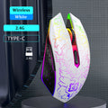LumiGlide RGB Wireless Ergonomic Gaming Mouse – Silent Click 1600 DPI for PC, Mac & Laptops